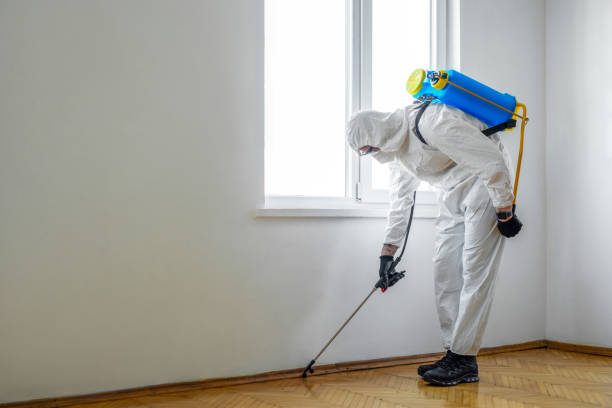 Massac, KY Pest Control Company