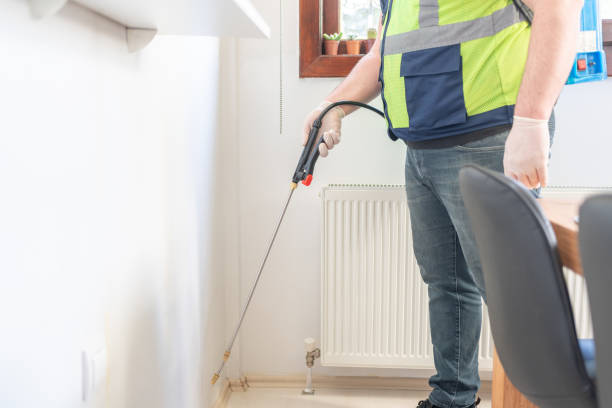 Best Wasp Removal Services  in Massac, KY