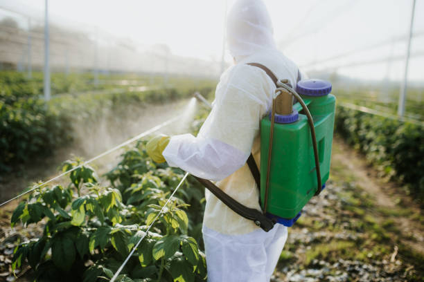 Best Mosquito Control Services  in Massac, KY